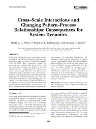 Cross–Scale Interactions and Changing Pattern–Process ...