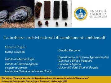 Le torbiere: archivi naturali di cambiamenti ambientali - Centri di ...