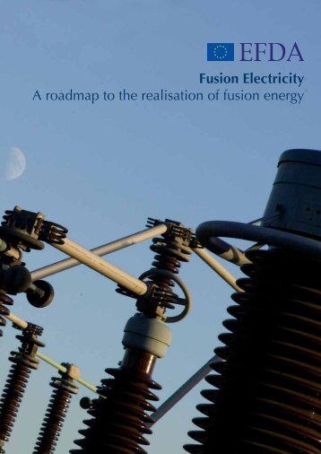 Fusion Electricity A roadmap to the realisation of fusion energy - EFDA