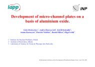 Studies of the aluminum oxide based microchannel plates - NDIP 11