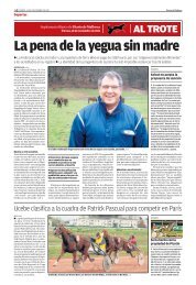 La pena de la yegua sin madre - Diario de Mallorca