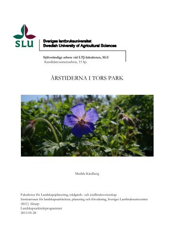 ÅRSTIDERNA I TORS PARK - SLU