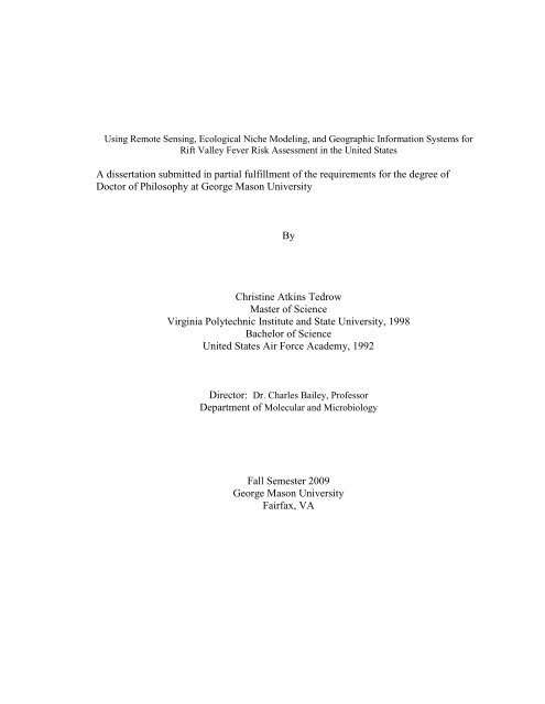 project thesis dissertation