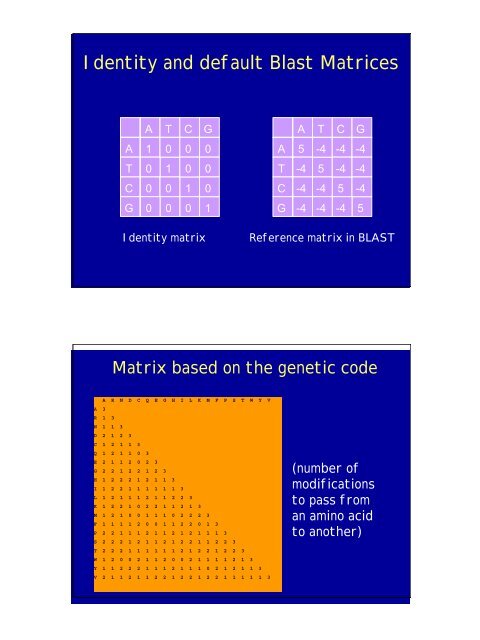 Algorithms on Sequences