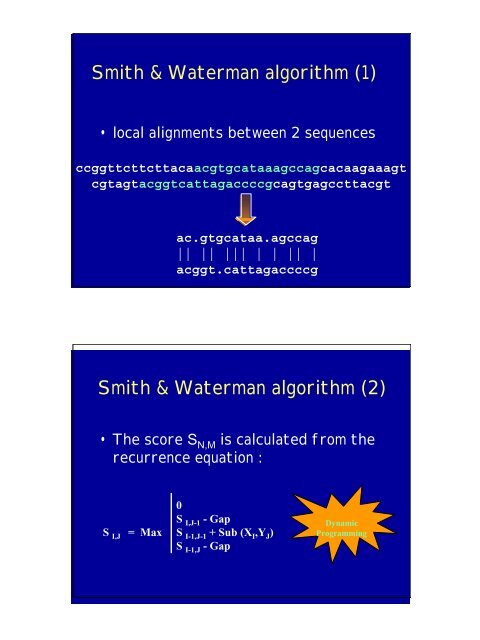 Algorithms on Sequences