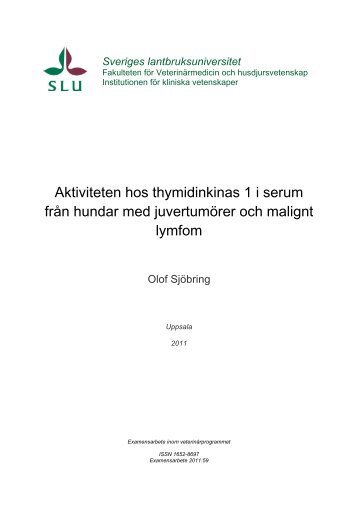 Aktiviteten hos thymidinkinas 1 i serum från hundar med ... - SLU