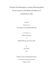 DRAFT FINAL REPORT_YAP Phase II.pdf - GANGAPEDIA DRAFT FINAL REPORT_YAP Phase II.pdf - GANGAPEDIA