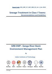 DRAFT FINAL REPORT_YAP Phase II.pdf - GANGAPEDIA