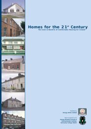 Homes for the 21st Century - University College Dublin