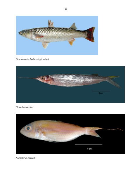 Status of alien species in the Mediterranean and Black Sea