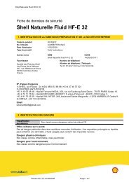 Shell Naturelle Fluid HF-E 46