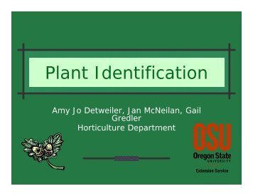 Plant Identification - Oregon State University