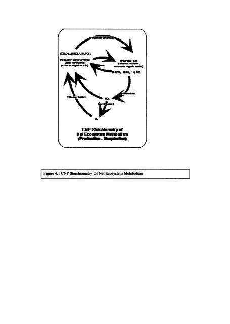 Salinity Intrusion and Seasonal Water Quality Variations in the Tidal ...