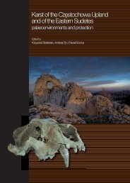 Download PDF - Speleogenesis