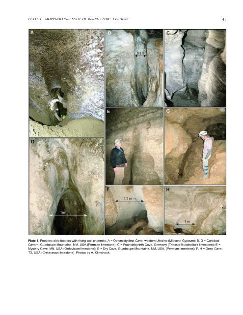 Download PDF - Speleogenesis