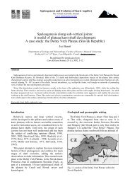 Download PDF - Speleogenesis