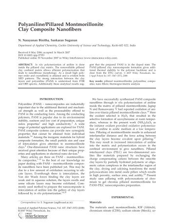 Polyaniline/pillared montmorillonite clay composite nanofibers