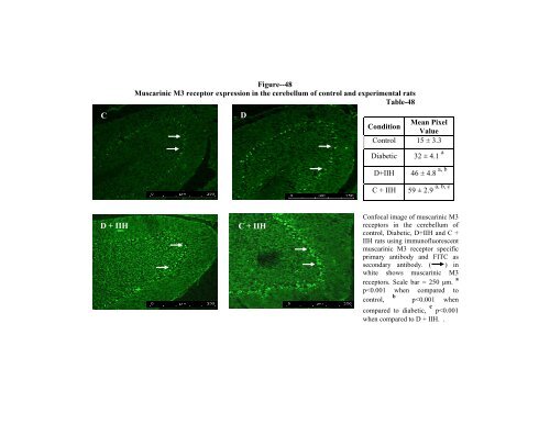 Muscarinic M1, M3, Nicotinic,GABAA and GABAB Receptor ...