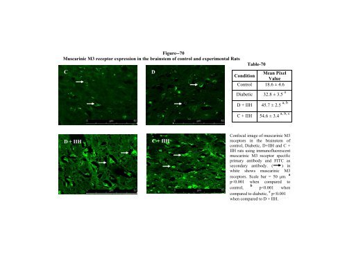 Muscarinic M1, M3, Nicotinic,GABAA and GABAB Receptor ...