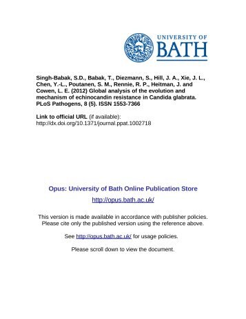 Download (2185kB) - Opus - University of Bath