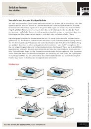 Brücken bauen (PDF) - NaT-Working - Robert Bosch Stiftung