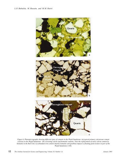 Origin of Iron-Rich Beds in the Basal Wajid Sandstone, Abha…