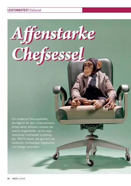 LEISTUNGSTESTChefsessel