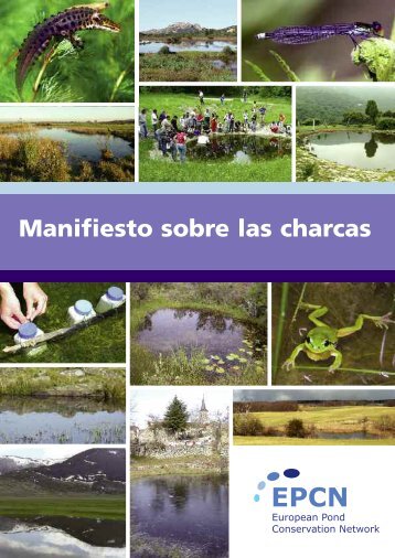 Manifiesto sobre las charcas