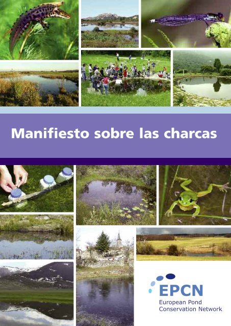 Manifiesto sobre las charcas