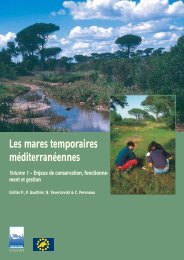 Mares temporaires