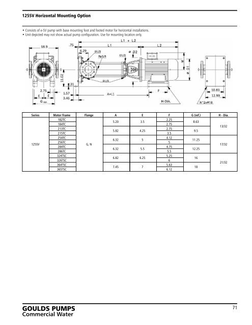 e-SV Vertical & Horizontal Multistage Centrifugal Pumps