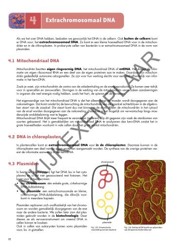 4 Extrachromosomaal DNA - Secundair