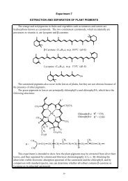 extraction and separation of plant pigments - Chemistry Teaching ...