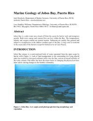 Marine Geology of Jobos Bay, Puerto Rico - UPRM