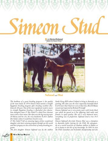 Simeon Stud - Desertheritagemagazine.com desert heritage magazine
