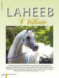 Laheeb - Desertheritagemagazine.com desert heritage magazine