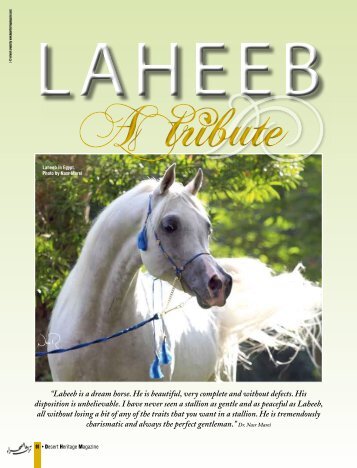 Laheeb - Desertheritagemagazine.com desert heritage magazine