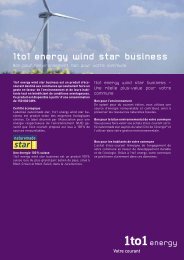 1to1 energy wind star business