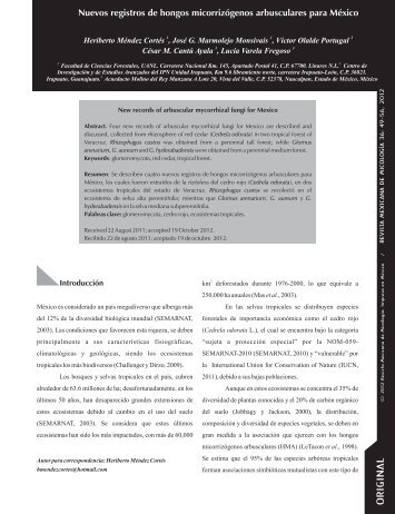 Vol. 36 páginas 49-56 - Revista Mexicana de Micologia