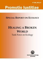Healing a Broken World - Society of Jesus