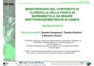 monitoraggio del contenuto di clorofilla della pianta di barbabietola ...