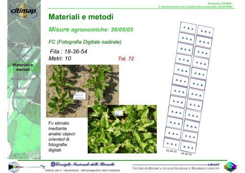 monitoraggio del contenuto di clorofilla della pianta di barbabietola ...