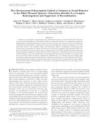 The Chromosomal Polymorphism Linked to Variation in ... - Genetics