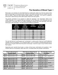 The Genetics of Blood Type©2006 - Emory University Department of ...