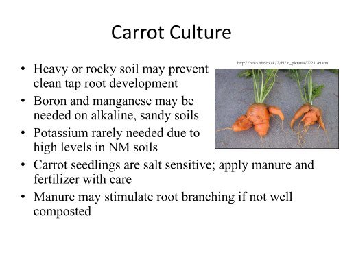 Part 5 of Vegetable Garden Presentation - Los Alamos County ...