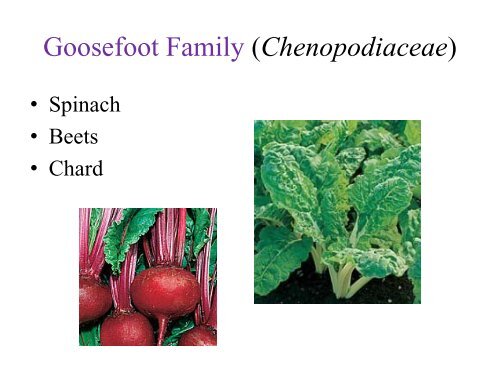 Part 5 of Vegetable Garden Presentation - Los Alamos County ...