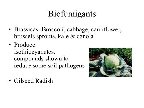 Part 5 of Vegetable Garden Presentation - Los Alamos County ...