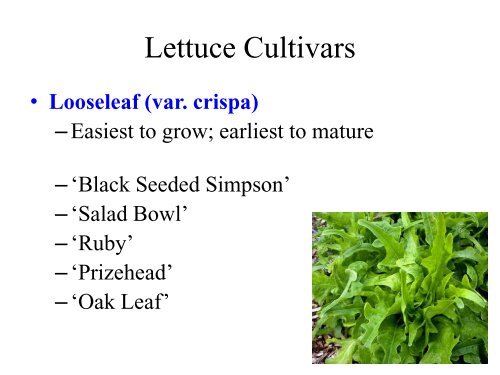 Part 5 of Vegetable Garden Presentation - Los Alamos County ...