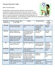 Chemical Information Table: