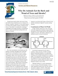 Why Do Animals Eat the Bark of Trees and Shrubs? - Purdue ...
